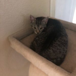 Meet your Posher, Melissa